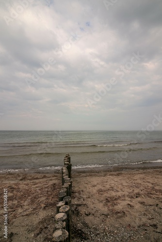 Wooden breakwater stakes by the sea.