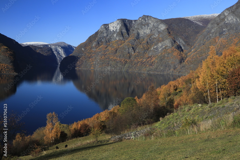 Naklejka premium Traumhafte Aussicht auf den schönen Aurlandsfjord im Herbst.