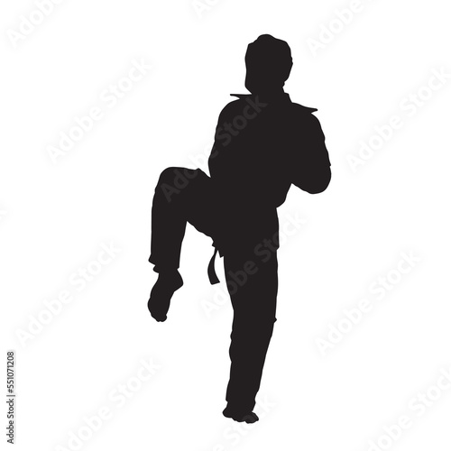 Illustration karate fighter wearing uniform isolated vector silhouette. on white background.
