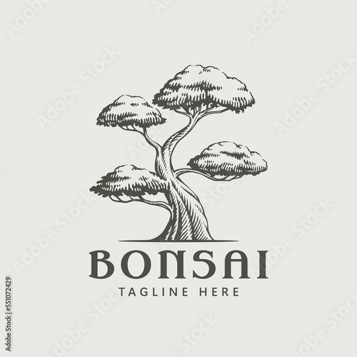 Vintage bonsai tree logo design template