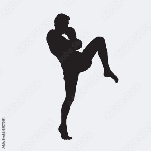 Illustration kickboxing fighter isolated vector silhouette. On white background.
