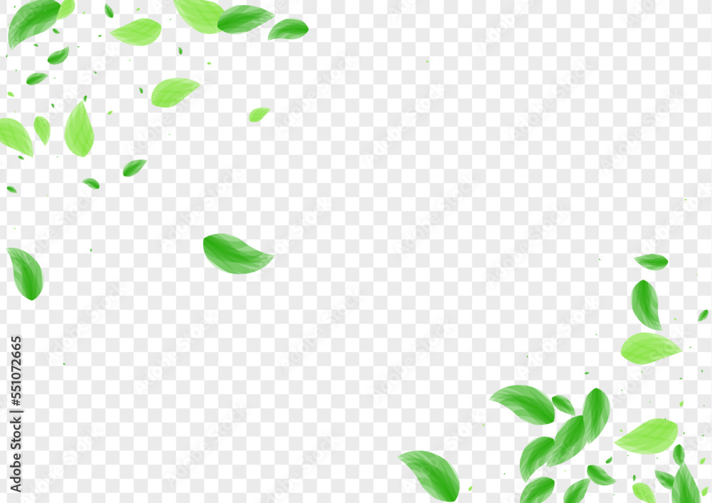 Green Foliage Background Transparent Vector. Vegetation Garden Texture. Drink Card. Greenish Falling Frame. Sheet Bio. Green Foliage Background Transparent Vector. Vegetation Garden Texture. Drink Card. Greenish Falling Frame. Sheet Bio.
