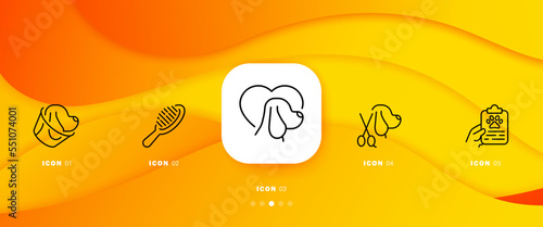 Animal Grooming set icon. Pet, dog, animal hair, fluff, fluffy, cut claws, scissors, cone, prescription, paw. Veterinary medicine concept. Infographic timeline with 5 steps. Vector line icon