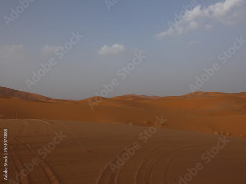 Desierto Sahara Arena Camellos
