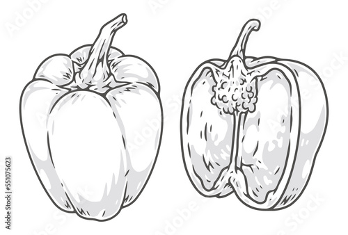 Bell pepper monochrome set stickers