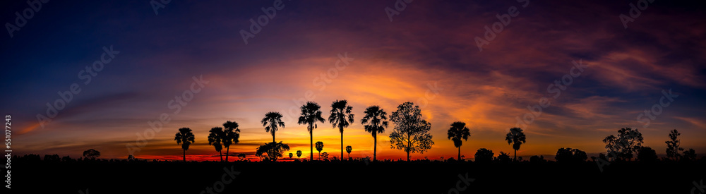 Panorama Row of coconut palms, sharply silhouetted against the bold orange, yellow, lavender and blue colors of a tropical sunset in Hawaii,United states.Row of Dark Trees on evening sky background.