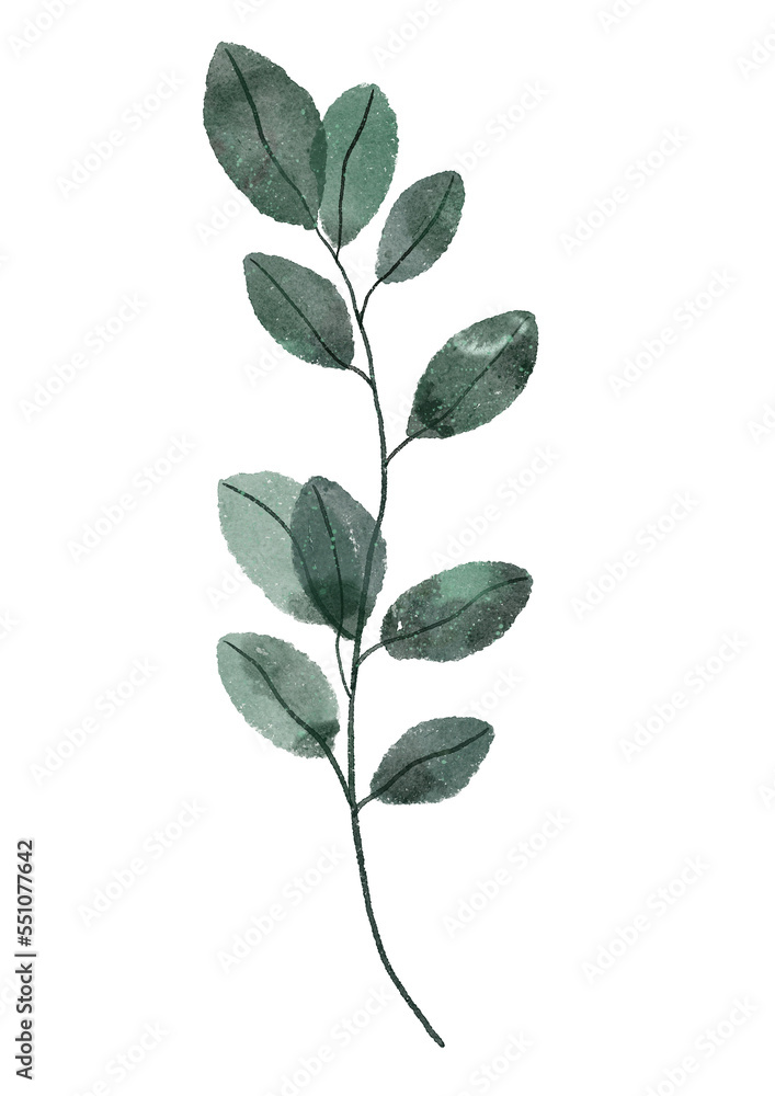 Greenery watercolor leaves. Green leaf on the white isolated background. 