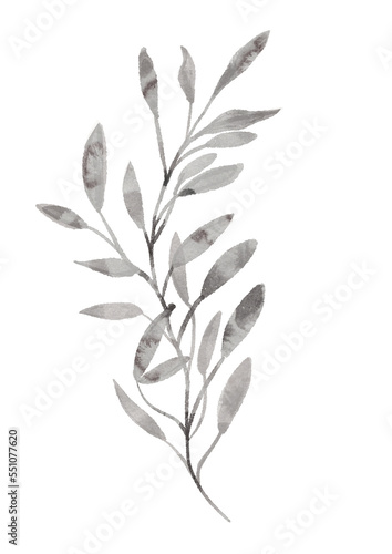 Greenery watercolor leaves. Green leaf on the white isolated background. 