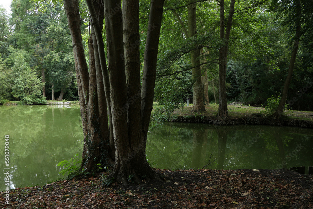 Obraz premium Parc and Etangs de l'Aleu - Saint-Arnoult-en-Yvelines - Yvelines - Ile-de-France - France