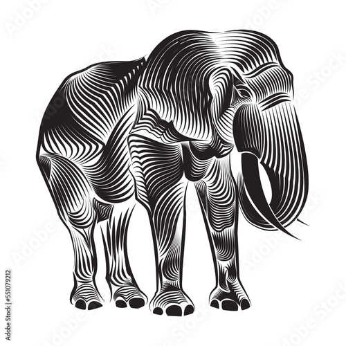 elephant line art design vector 
