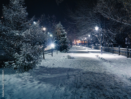 snow covered road © Денис К