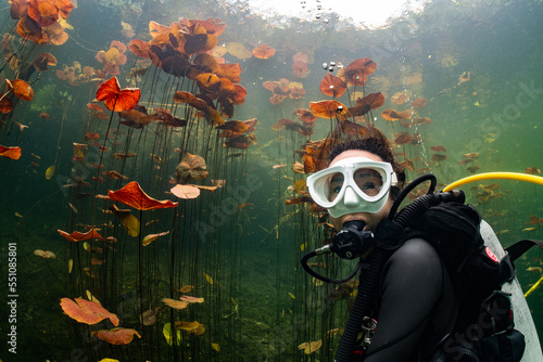 cave diver instructor leading a group of divers in a mexican cenote underwater