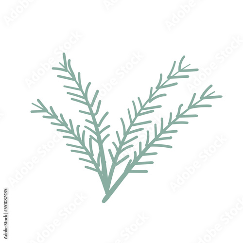 Fototapeta Naklejka Na Ścianę i Meble -  leaves botanical line hand drawn vector element