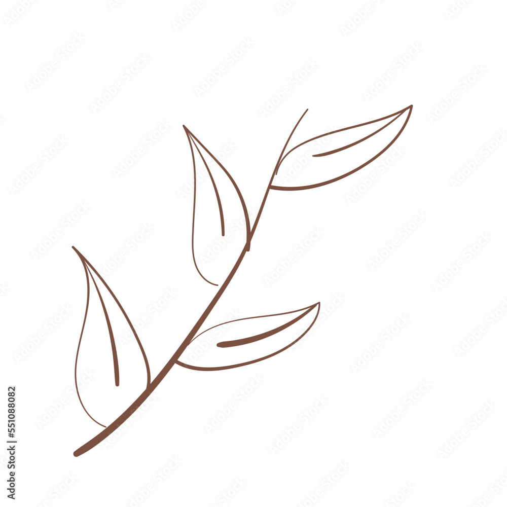 flower botanical line hand drawn vector element flower botanical line hand drawn vector element