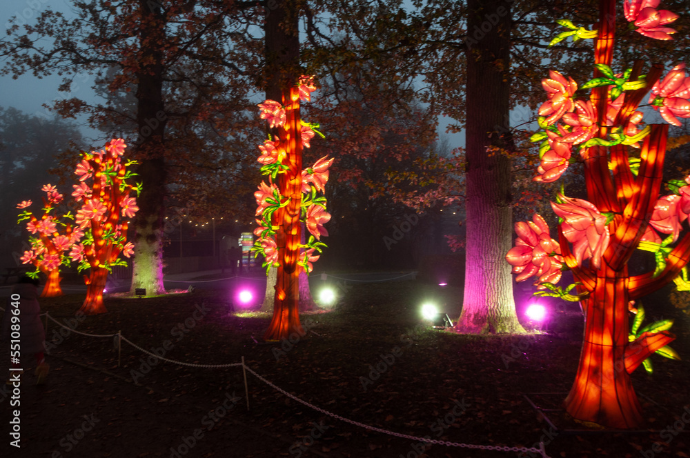Fototapeta premium autumn in the park