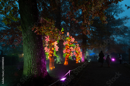 autumn in the park