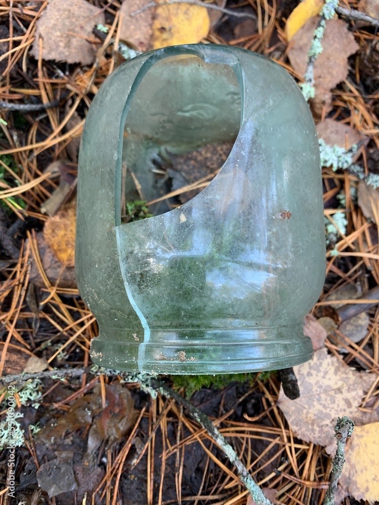 Obraz premium glass jar in a forest