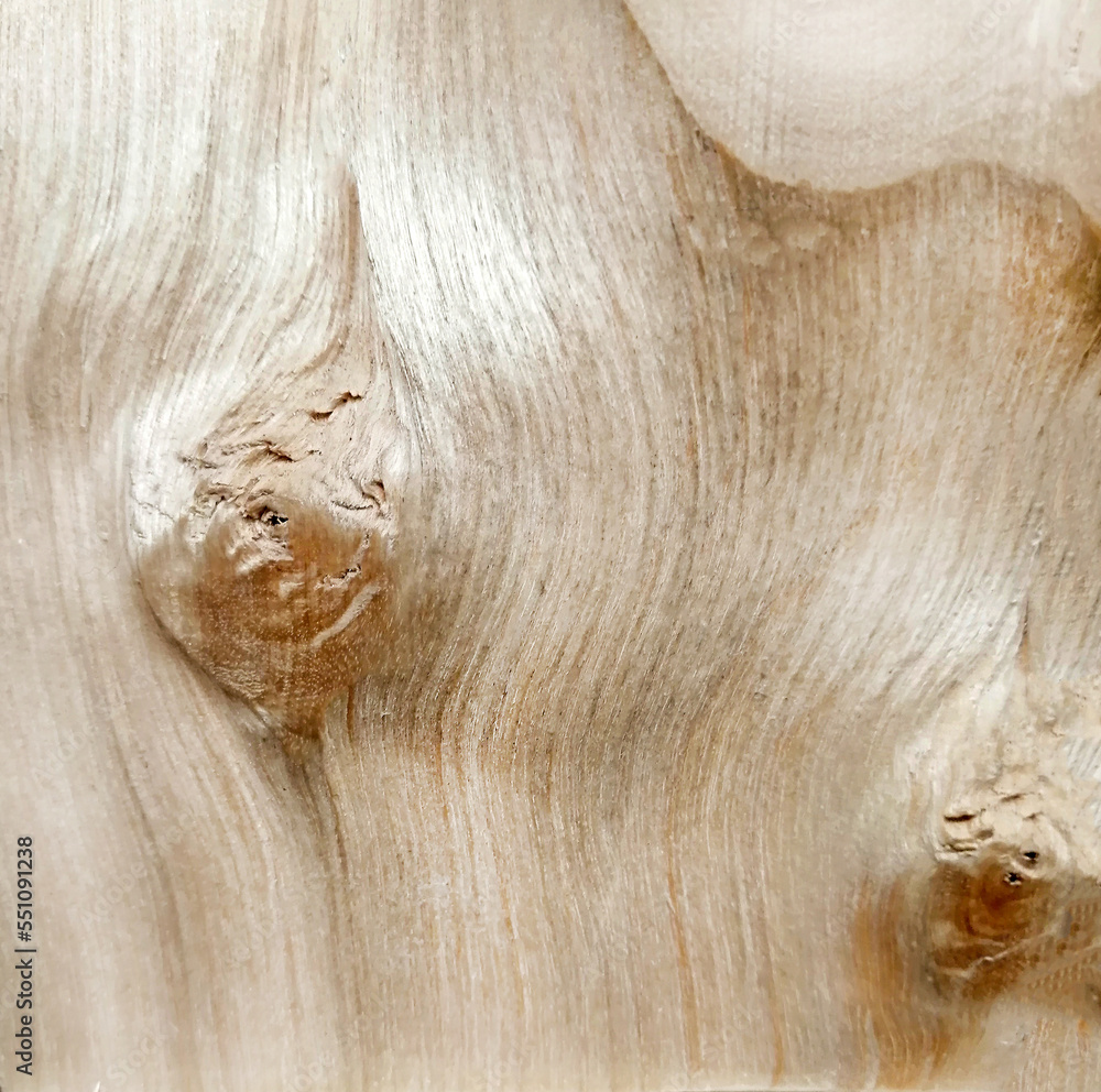 Fototapeta premium Wood texture with natural pattern. Wood fibers.