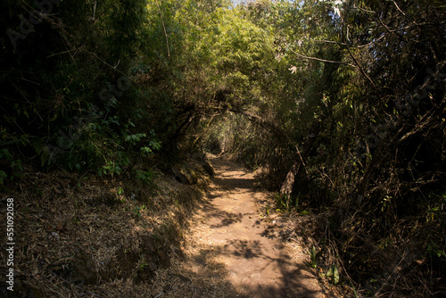 Hike through the Apurímac canyon to the ruins of Choquequirao, an Inca archaeological site in Peru, similar in structure and architecture to Machu Picchu.