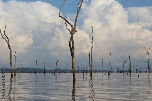 Brownsweg, Suriname. 14-10-2022 Brokopondo Reservoir. Dead trees are rising from the depths of the reservoir.