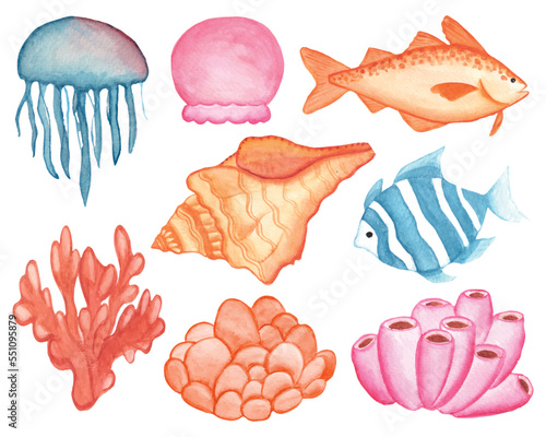 Photography Watercolor Under The Sea Clipart Set