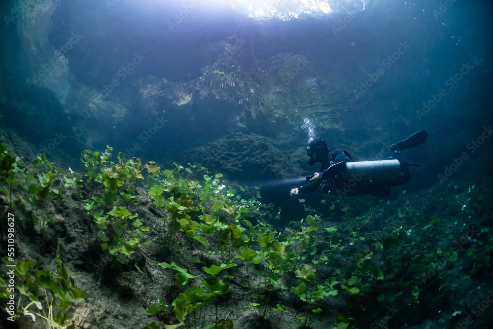 Obraz premium cave diver instructor leading a group of divers in a mexican cenote underwater