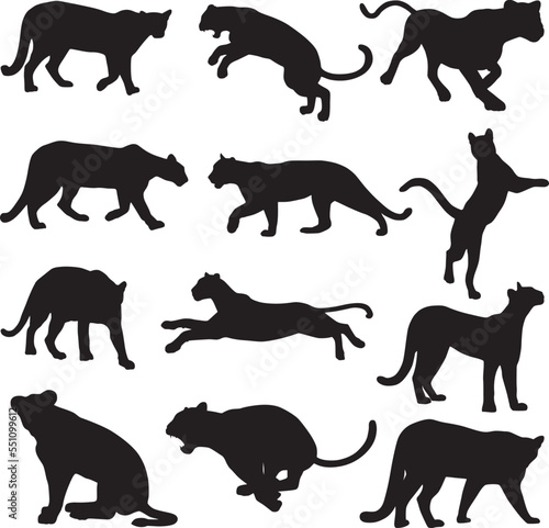 Puma panther animal silhouette