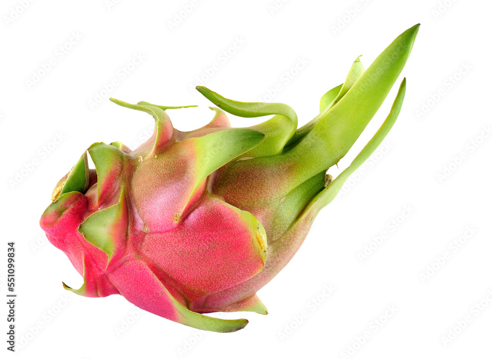 Dragon Fruit on transparent png Dragon Fruit on transparent png