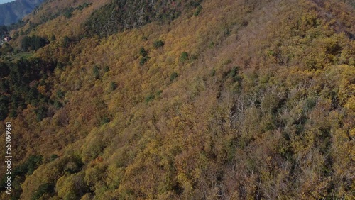 I boschi di castagni sulle Alpi Apuane in autunno photo