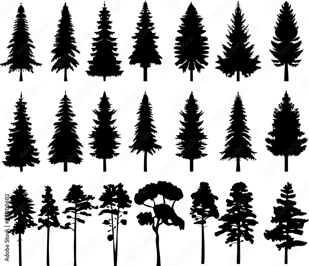 silhouette of pine, fir tree, spruce set design vector isolated - obrazy, fototapety, plakaty 