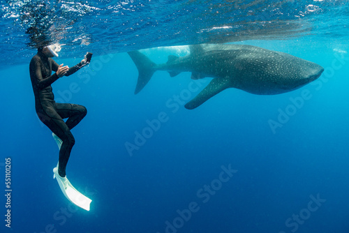 Whale shark and woman diver near Isla Mujeres, Mexico photo