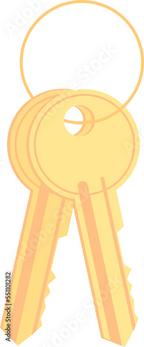 Two keys connected with a ring in cartoon style. Vector illustration with transparent background.