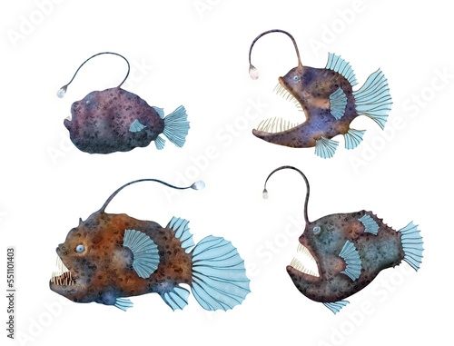 Anglerfish watercolor illustration isolated on white Creepy deep water fishes Ugly sea creatures Underwater sea life photo