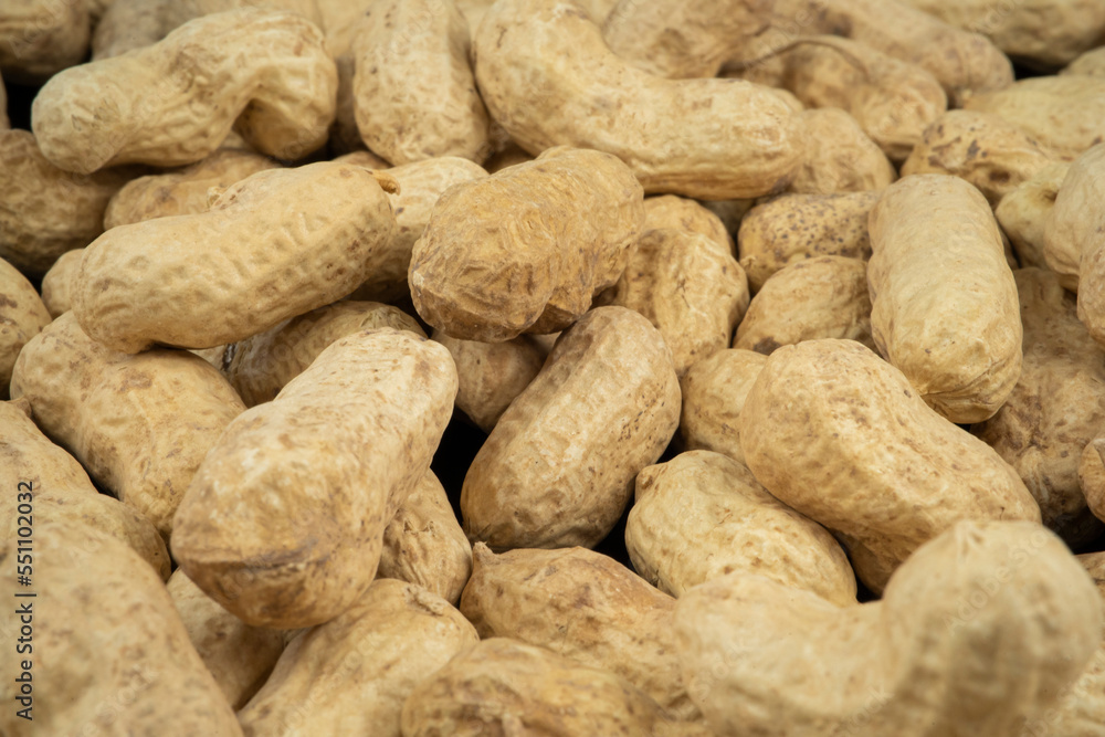 Peanuts in a shell. Texture of background Peanuts in a shell. Texture of background