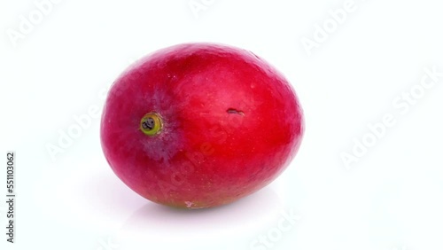 mango isolated on white background