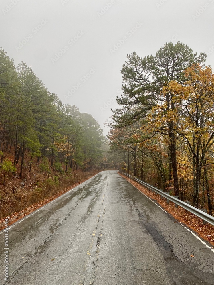 road in autumn