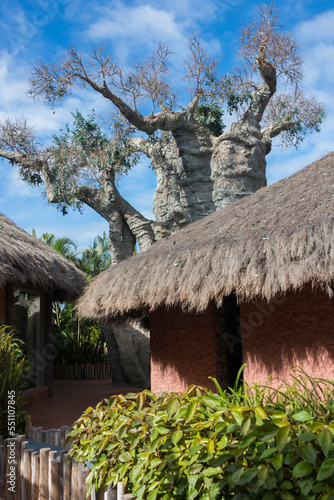 Cabañas y baobab africano