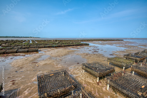 Oysters grow in these tidal cages....as the tide comes in they will be underwater.