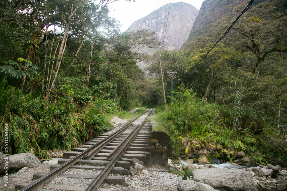 Fototapeta premium Hiking from Santa Teresa Hidroeléctrica to Aguas Calientes to reach Machupichu. Path following the train tracks with several hikers.