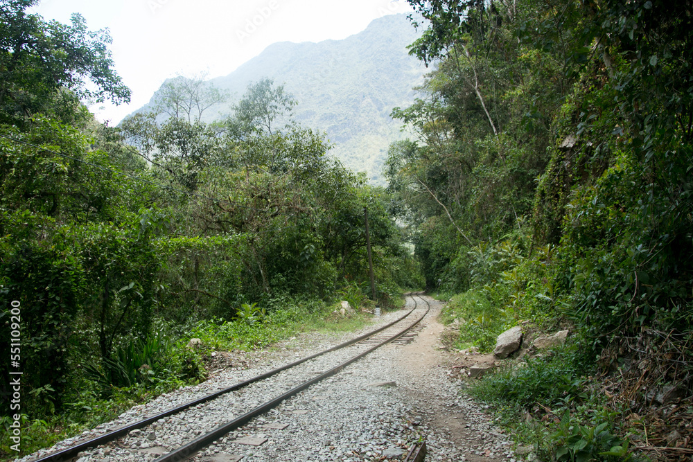Obraz premium Hiking from Santa Teresa Hidroeléctrica to Aguas Calientes to reach Machupichu. Path following the train tracks with several hikers.