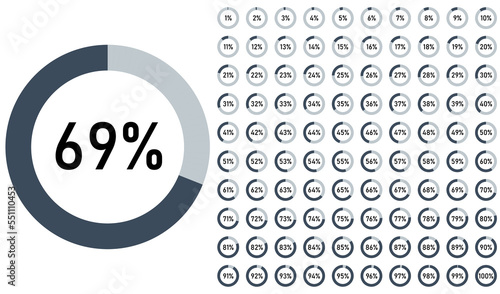 Set of circle percentage diagrams from 0 to 100 for infographics. Vector illustration.