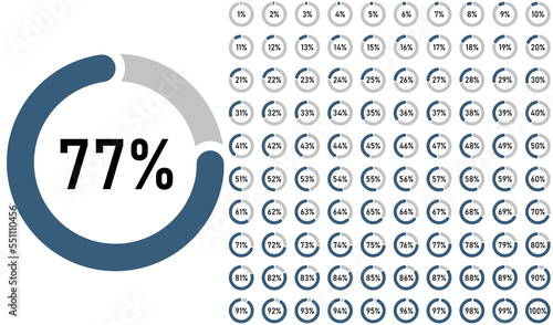 Set of circle percentage diagrams from 0 to 100 for infographics. Vector illustration.