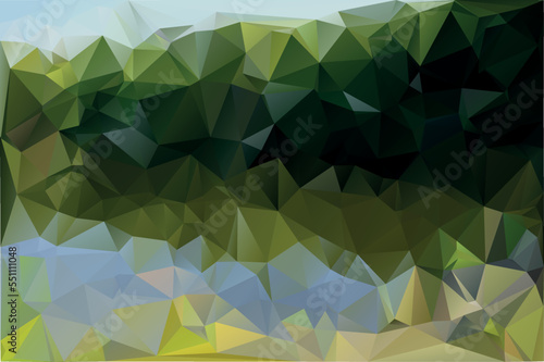 Polygonal graphics, Multicolor Design Templates. Geometric Triangular Vector Background.shape