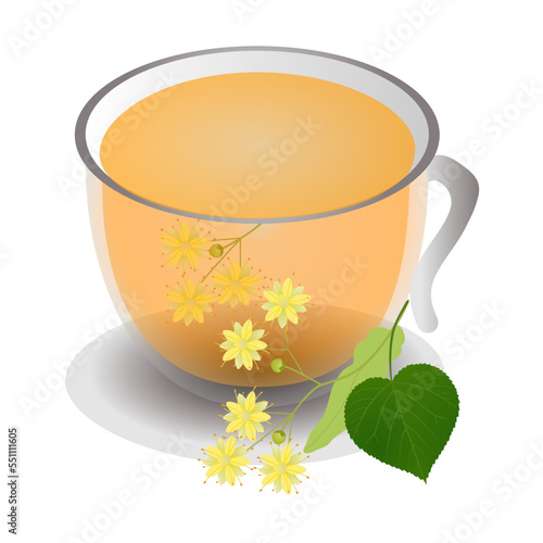 A cup of linden tea isolated on a white.