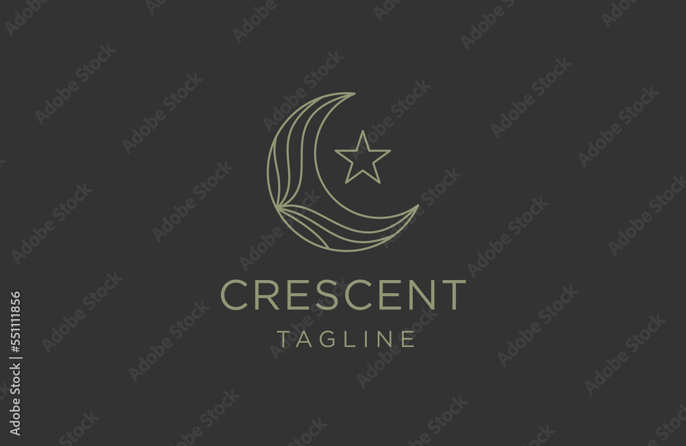 Crescent star line logo design template flat vector Crescent star line logo design template flat vector