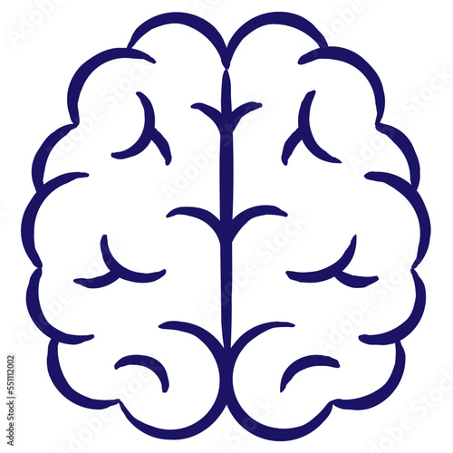 Blue outline icon of two hemispheres of the human brain, drawn with a brush line. Simple vector minimal linear pictogram isolated on transparent background