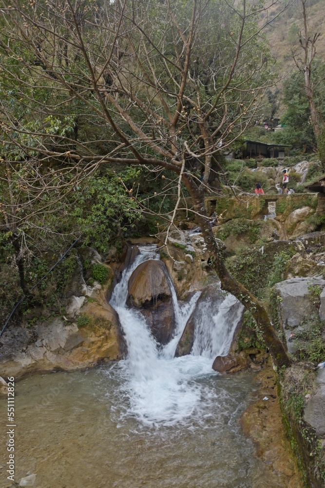 stream in the forest 