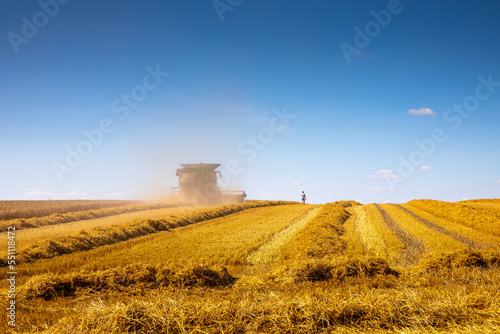 Moissonneuse récoltant le blé dans les champs de France en été. © Thierry RYO