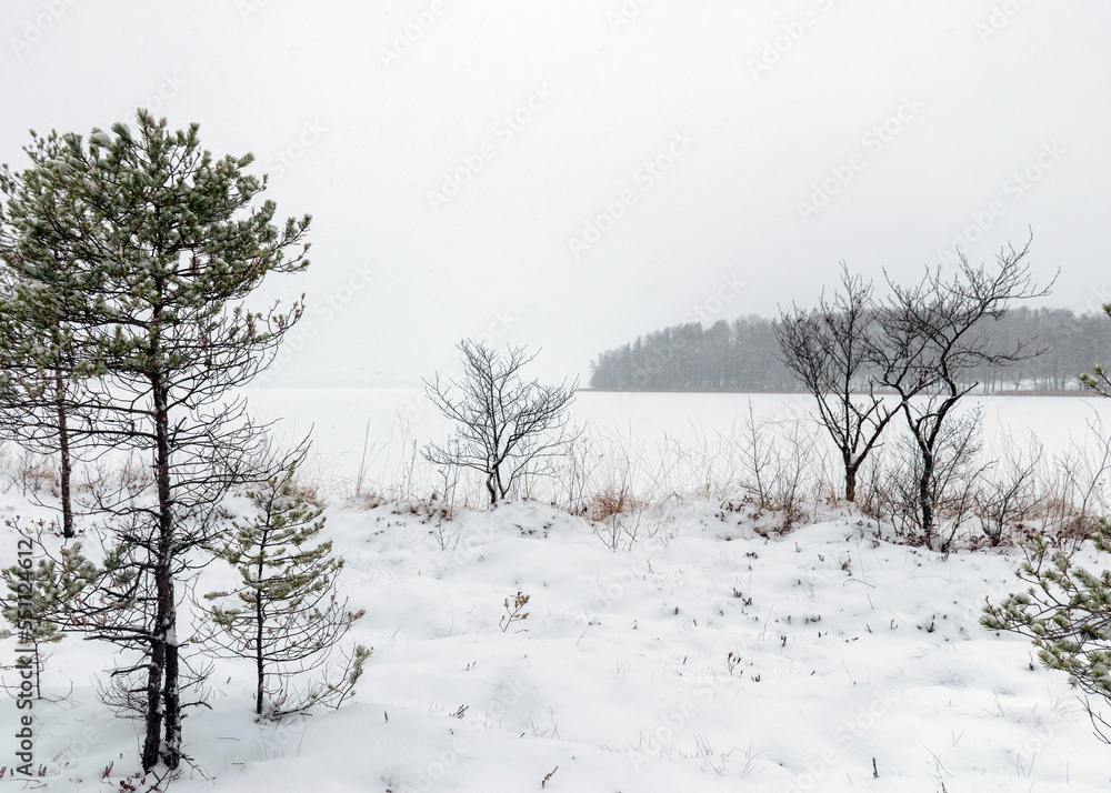 gray foggy winter landscape, falling snow blurred background, fragments of trees gray foggy winter landscape, falling snow blurred background, fragments of trees