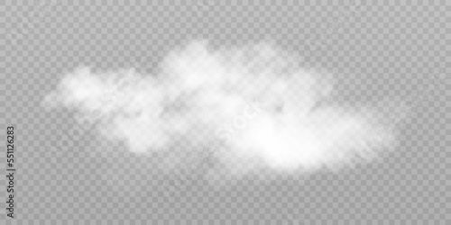 Translucent smoke isolated on a transparent background. Steam effect special effect. Vector texture of steam, fog, cloud, smoke.